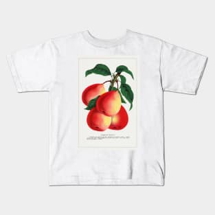 Vermont Beauty Pear Lithograph (1900) Kids T-Shirt